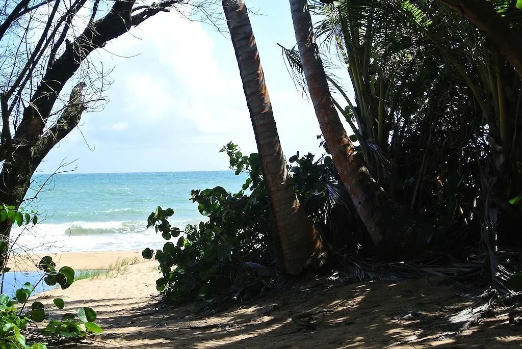 Sunrise Villa Maunabo Apartment